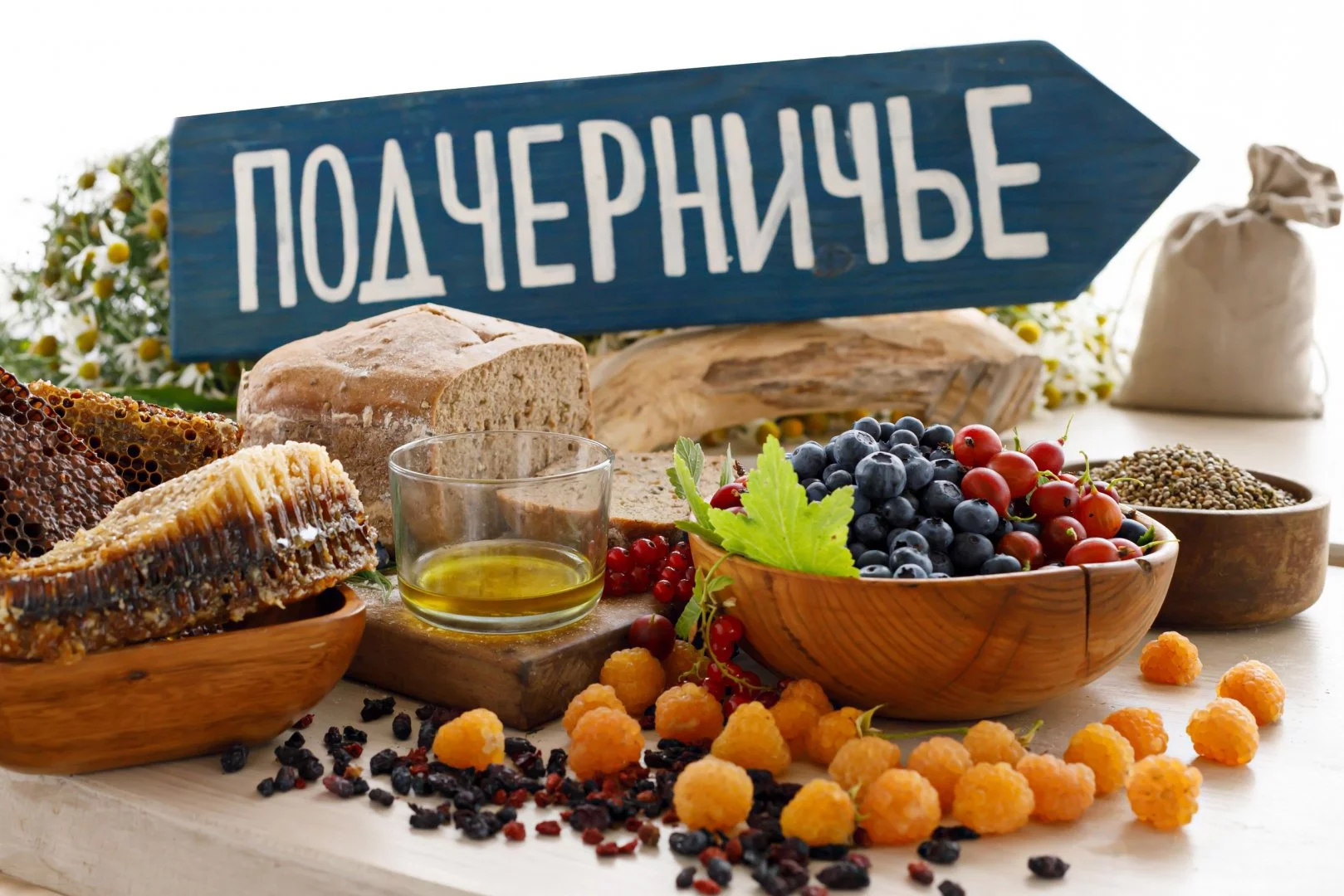 Кемпинг в Подчерничье