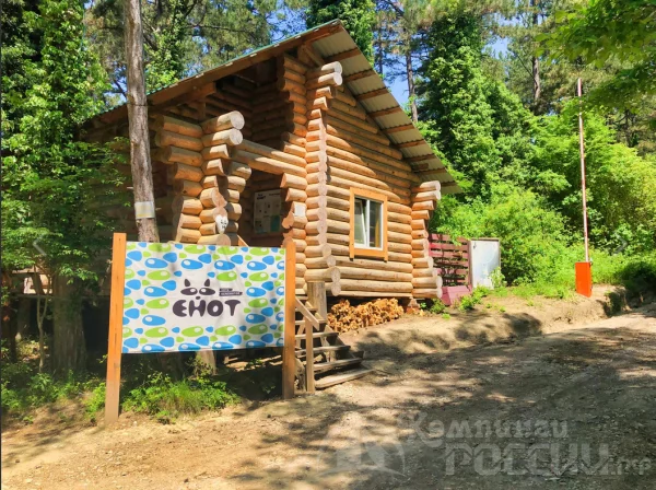 Кемпинг "Енот-Архипо-Осиповка"