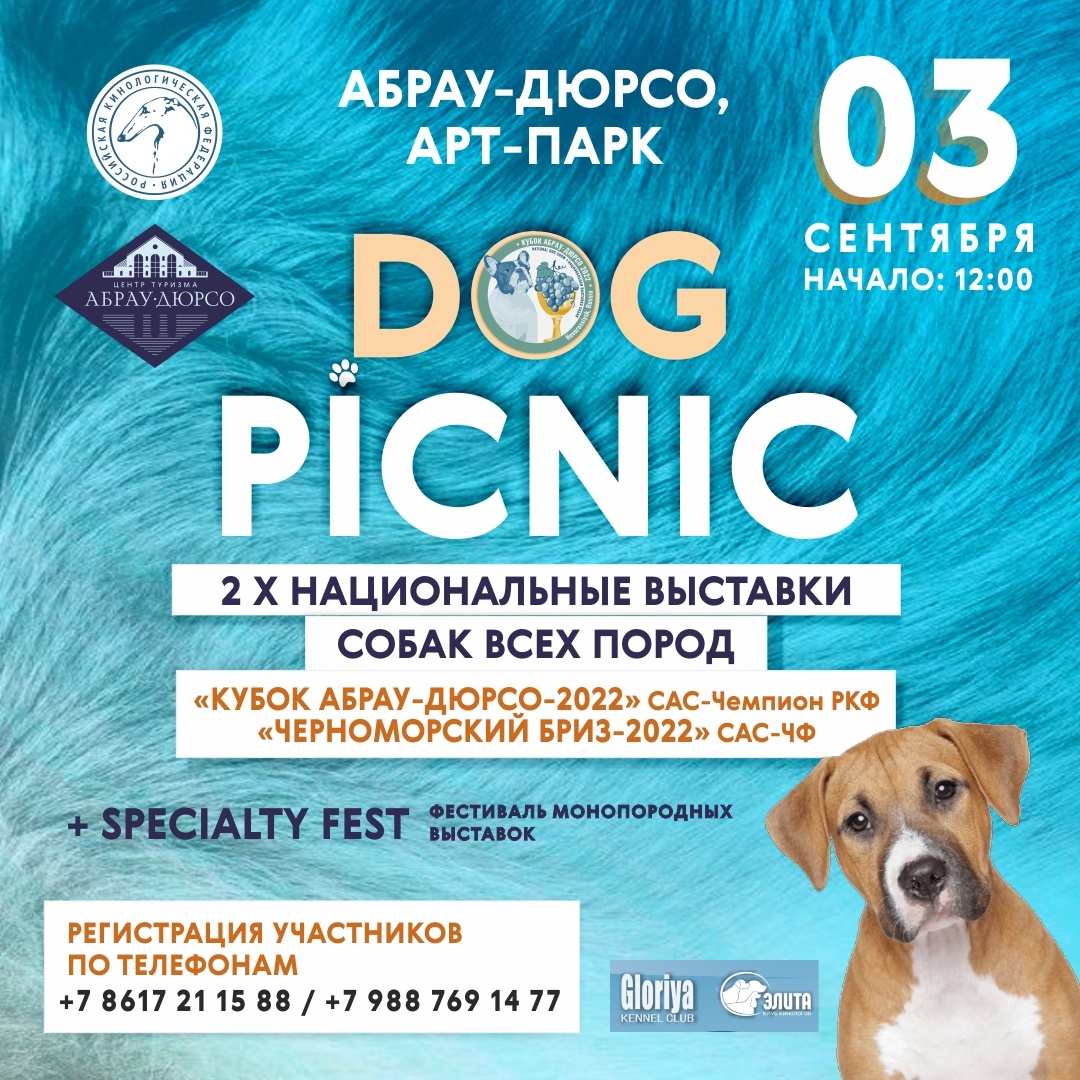 3 сентября – Dog Picnic в Абрау-Дюрсо!