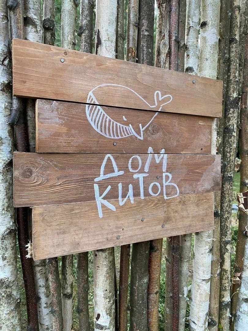 Глэмпинг "Дом Китов"