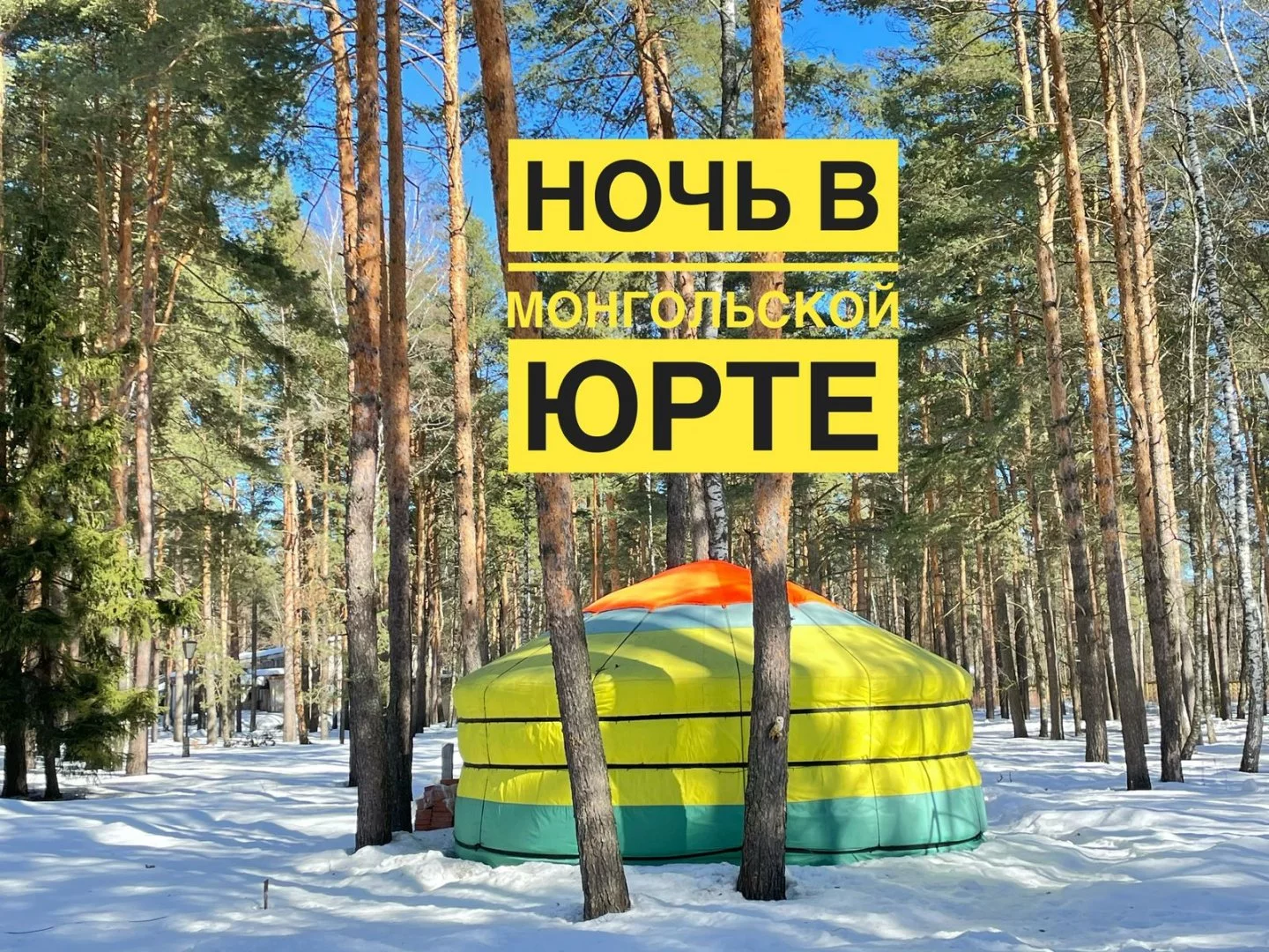 Юрта на территории 5,5Га соснового леса