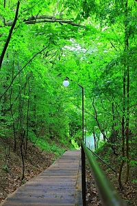 Кемпинг Кубанец