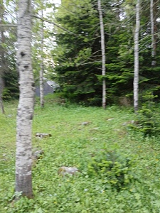 Кемпинг в Архызе