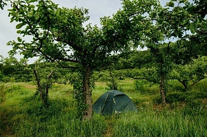 ECOCAMP в Крыму