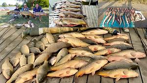 Кемпинг «Лесной» на берегу реки Волги в Астраханской области