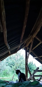 Усадьба Парнаут КМ