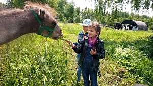 Глэмпинг Целина