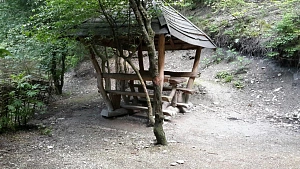 Кемпинг Назарова дача