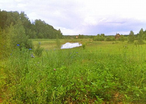 Кемпинг на ферме «Мартьянково»