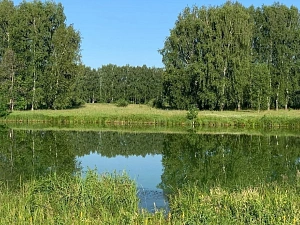 Кемпинг БУГОРпикник зона ЖИЛИ-БЫЛИ