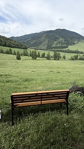 Шебалинский питомник Королевский марал