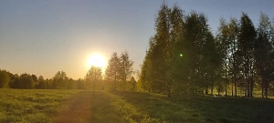 Кемпинг ТехноХутор