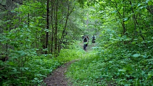 Глэмпинг Новая Слобода