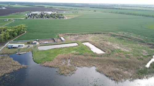 Эко-деревня "Оазис Станицы"