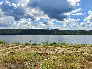 Глэмпинг Лес Река