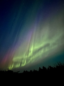 Кемпинг Дом белых китов