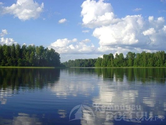 Кемпинг "Веснеболог"
