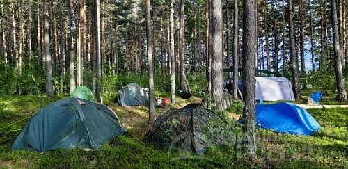 10 лучших кемпингов в Ленинградской области в 2024 году